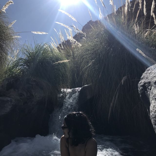 San Pedro de Atacama: Canyon Swimming Pools Trekking Trip - Who should book this Puritama outing