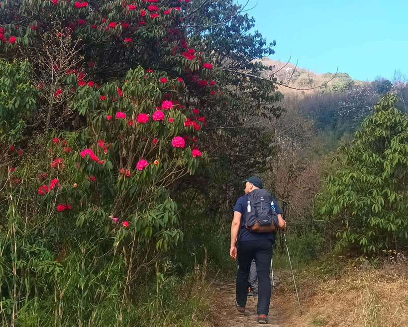 Sandakphu Singalila Ridge Trek - 6 Days - Day 3: Sandakphu to Phalut via Sabargram