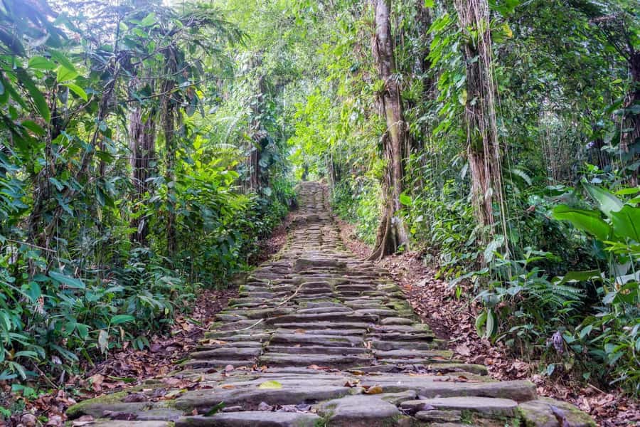 Santa Marta: Multi-Day Trek to The Lost City - Key points to know before you book