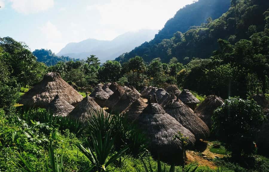 Santa Marta: Multi-Day Trek to The Lost City - Is $713 a fair price?