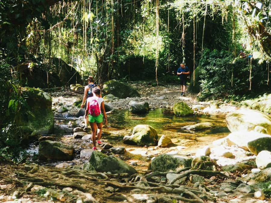 Santa Marta: Multi-Day Trek to The Lost City - Camps, food, water, and comfort