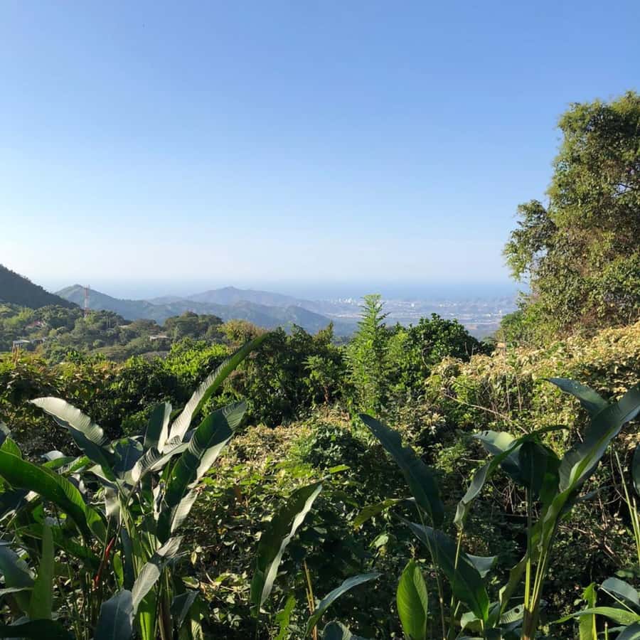 Santa Marta: Trekking in Minca Complete Waterfall Circuit - Marinka Waterfalls and the longer pause