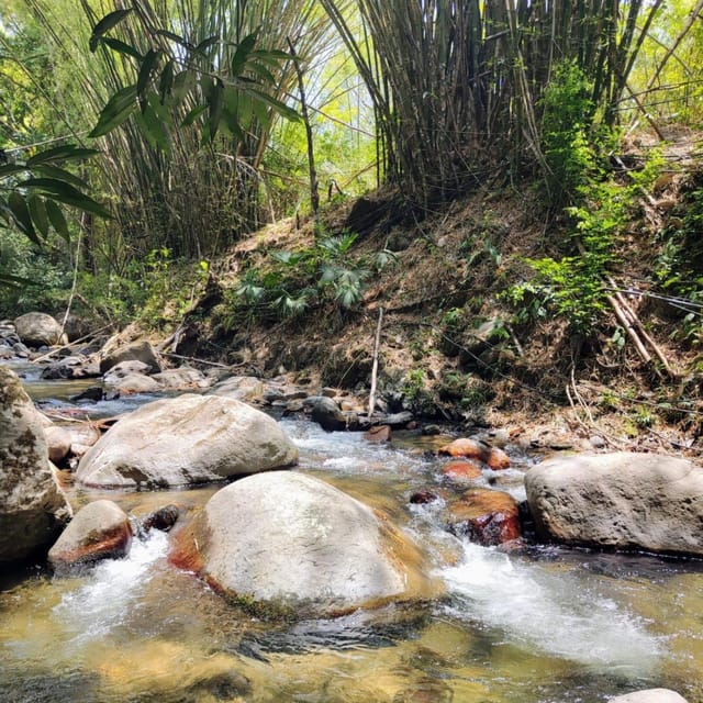Santa Marta: Trekking in Minca Complete Waterfall Circuit - The secret pool and the route’s flexible nature