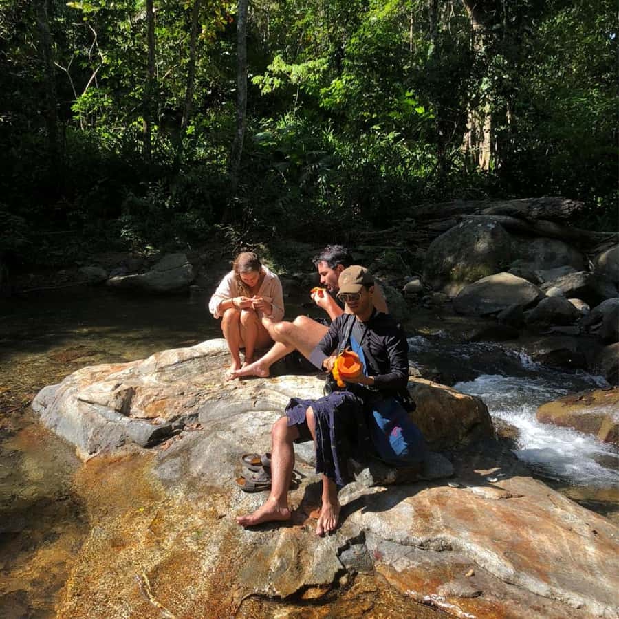 Santa Marta: Trekking in Minca Complete Waterfall Circuit - Is $49 a fair price for this Minca trek?