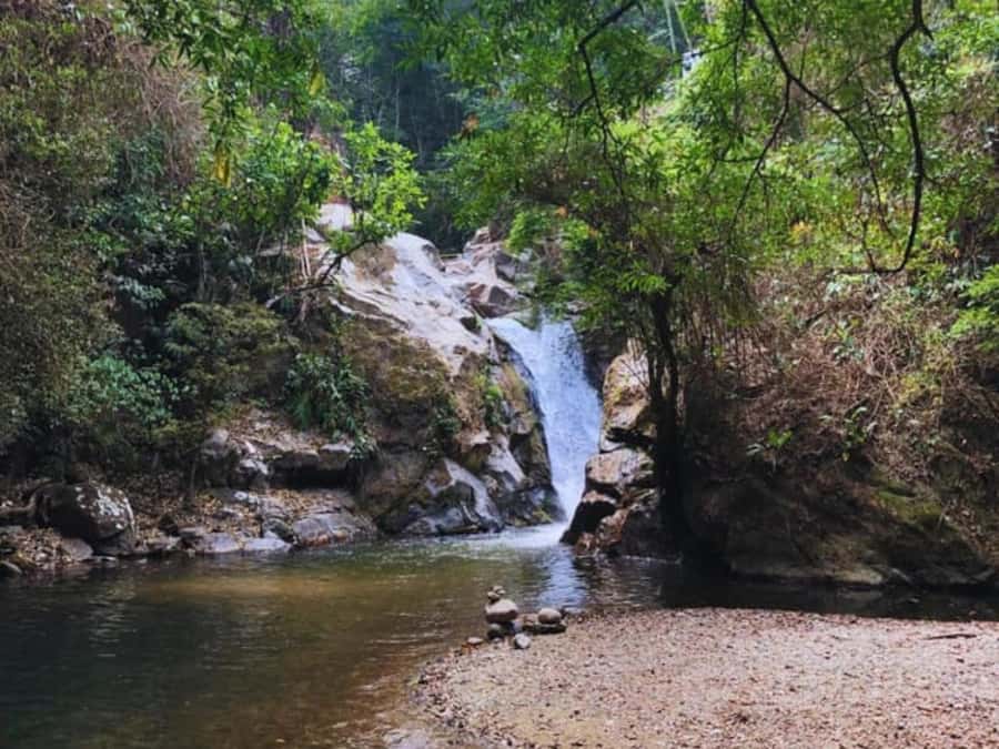 Santa Marta: Trekking in Minca Complete Waterfall Circuit - Who should book this waterfall circuit?