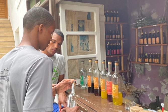 Santo Antão: Day Trip by Car or Trek - Why this day trip works from São Vicente