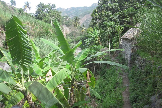 Santo Antão: Day Trip by Car or Trek - The grogue distillery stops