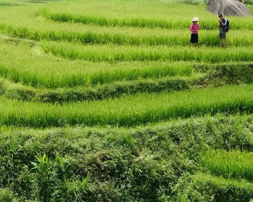 Sapa 1 Day Long Trek: Trek to Hau Thao and Sa Seng Villages - A generous lunch at a family-run restaurant