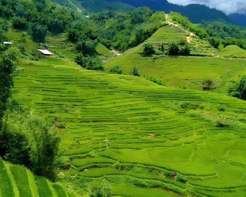 Sapa 1 Day Long Trek: Trek to Hau Thao and Sa Seng Villages - The final walk to Giang Ta Chai