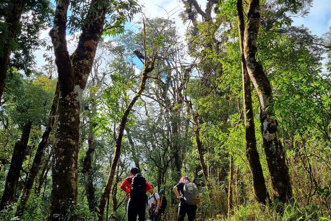 Sapa 1 day trek with local guide to the village by Comlam - Walking down into Muong Hoa Valley