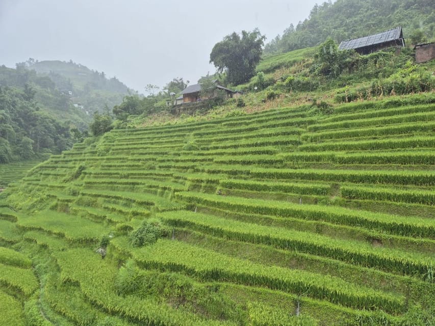 SAPA 2 Day trekking & 1 night Homestay with LOCAL PEOPLE - Ta Van rice fields and Lao Chai lunch
