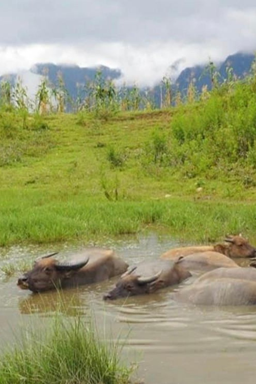 SAPA 2 Day trekking & 1 night Homestay with LOCAL PEOPLE - Who will enjoy this Sapa trek most