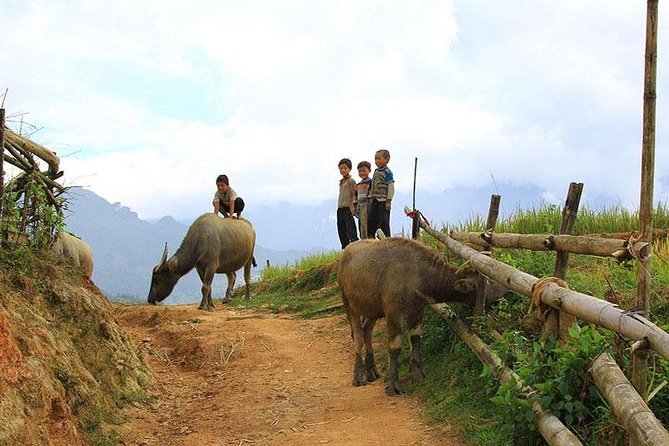 Sapa 2 days 1 night trekking Lao Chai Ta Van - Fansipan mountain by cable car - Why this Hanoi to Sapa trip works