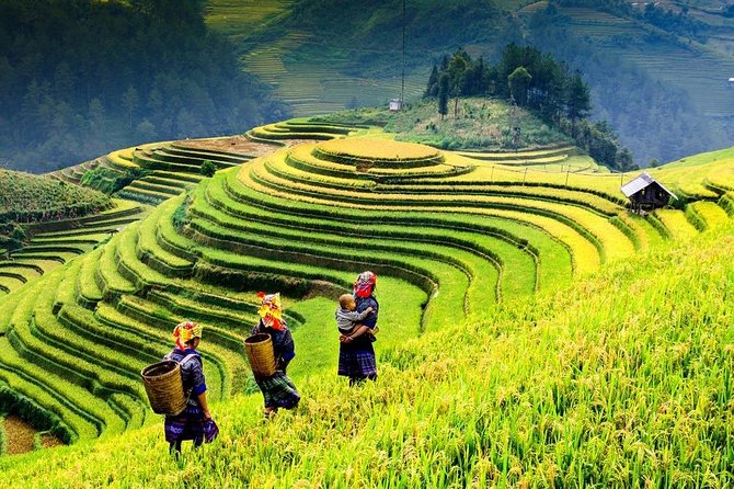 Sapa 2 days 1 night trekking Lao Chai Ta Van - Fansipan mountain by cable car - The overnight sleeper bus from Hanoi