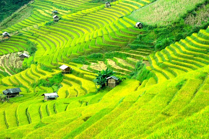 Sapa 2D1N Trekking to Giang Ta Chai Village from Hanoi by Bus - Giang Ta Chai and the Red Dao trail