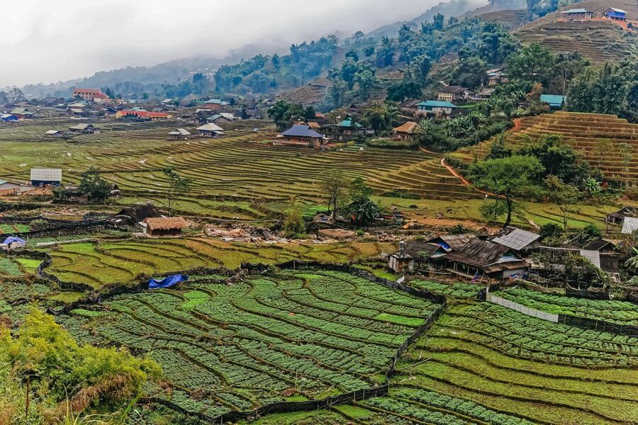 Sapa: 3-Day, 3-Night Trek and Hotel with Overnight Train - Key points to know before you book