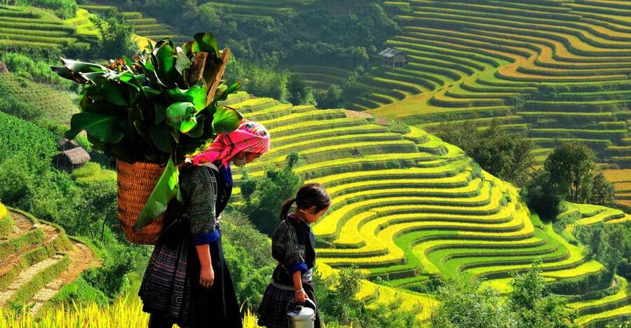 Sapa: 3-Day, 3-Night Trek and Hotel with Overnight Train - Day 1: Sin Chai and your first look at Sapa
