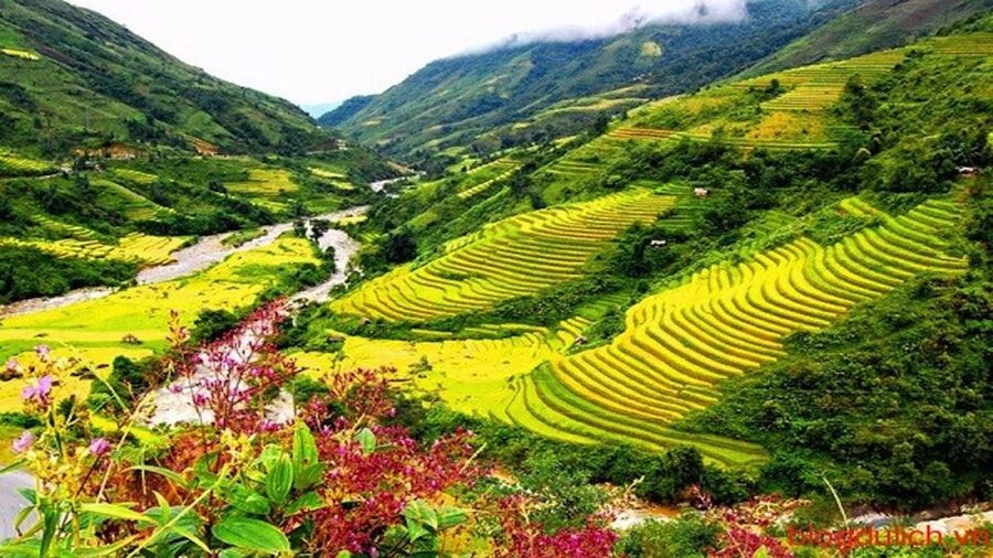 Sapa: 3-Day, 3-Night Trek and Hotel with Overnight Train - Day 3: Red Zao villages, waterfall, and bamboo paths