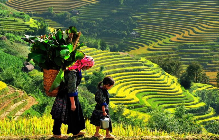 Sapa: 3-Day, 3-Night Trek and Hotel with Overnight Train - Hanoi to Lao Cai by overnight train