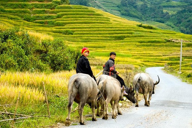Sapa 3 Days 2 Nights Trekking Tour (1 Night In Ta Van Village, 1 Night In Hotel) - The Hanoi to Sapa bus ride