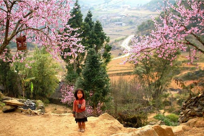 Sapa 3 Days 2 Nights Trekking Tour (1 Night In Ta Van Village, 1 Night In Hotel) - Ta Van Village and the bungalow night