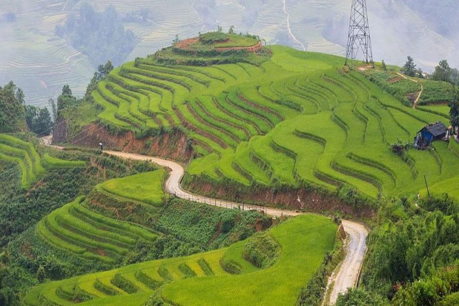 Sapa 3 Days 2 Nights Trekking Tour (1 Night In Ta Van Village, 1 Night In Hotel) - Giang Ta Chai, the bamboo forest, and the final walk