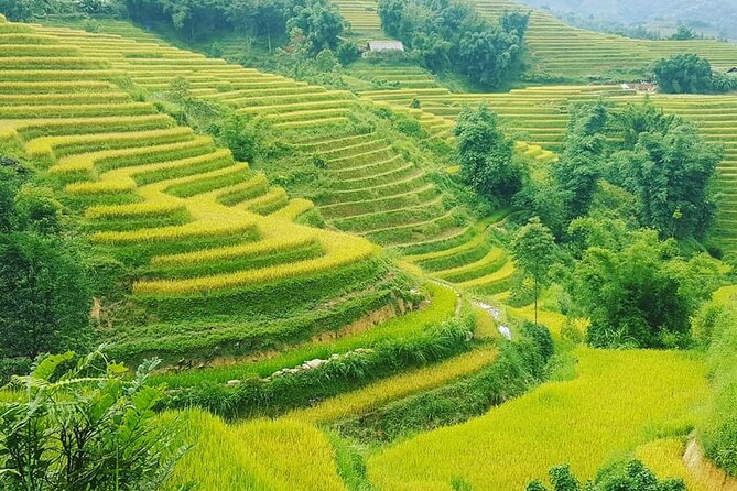 Sapa 3 Days Trekking Tour (1 Night in Bungalow, 1 Night In Hotel) - Giang Ta Chai and the Red Dao hillsides