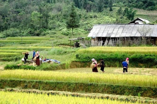 Sapa 3 Days Trekking Tour By Bus from Hanoi (2 Nights in Hotel) - What the guide adds