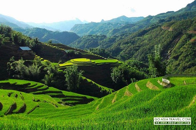 Sapa - Bac Ha Trek Tour - Night Train & Bus & Homestay overnight - Giang Ta Chai and the second day on foot