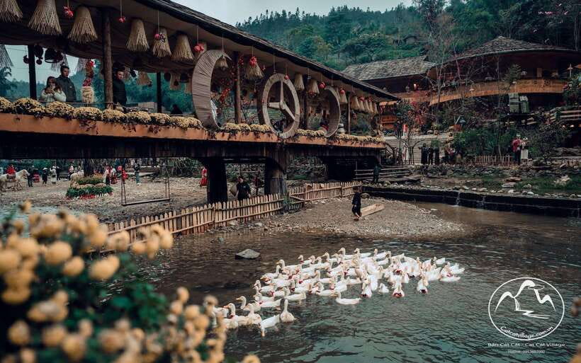 Sapa Cat Cat Village And Y Linh Ho Private Trekking Tour - Key points at a glance