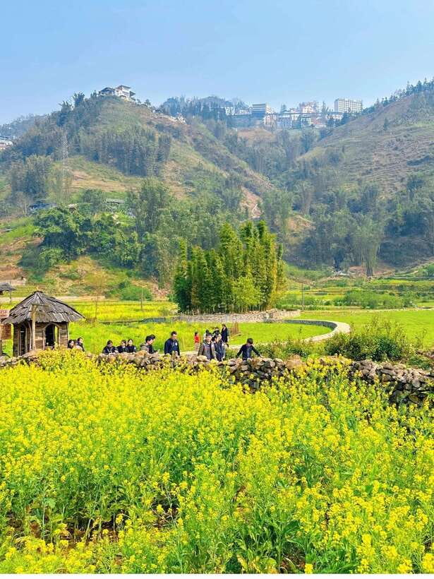 Sapa Cat Cat Village And Y Linh Ho Private Trekking Tour - Starting in Cat Cat Village with Hmong culture