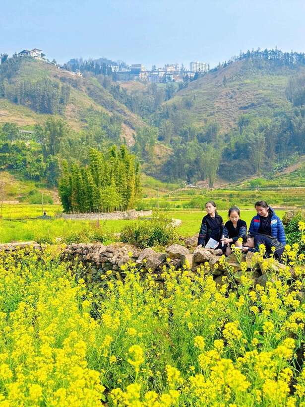 Sapa Cat Cat Village And Y Linh Ho Private Trekking Tour - Who will enjoy this private route most?