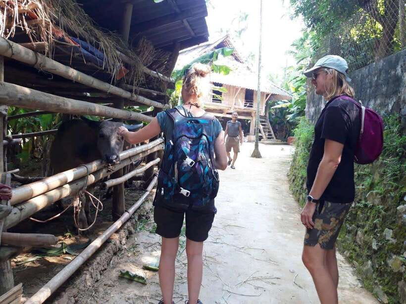 Sapa Cat Cat Village And Y Linh Ho Private Trekking Tour - Booking, cancellation, and practical limits