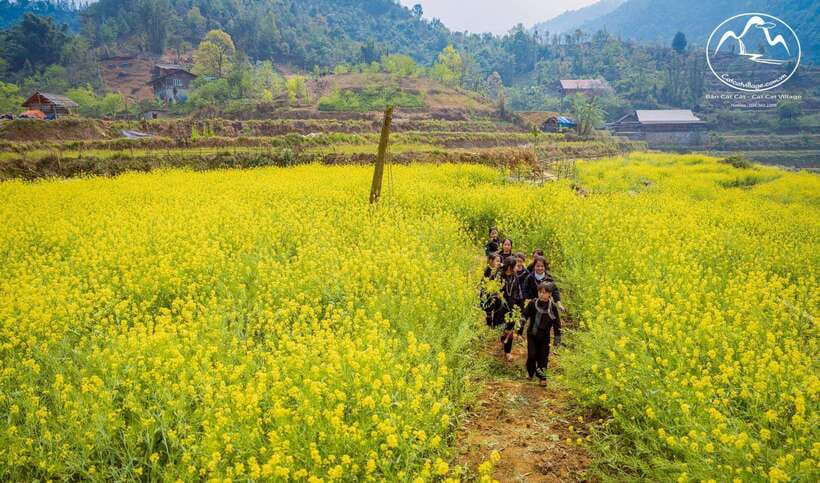 Sapa Cat Cat Village And Y Linh Ho Private Trekking Tour - Should you book the Cat Cat and Y Linh Ho trek?