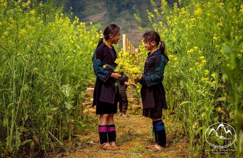 Sapa Cat Cat Village And Y Linh Ho Private Trekking Tour - From village lanes to Y Linh Ho rice fields