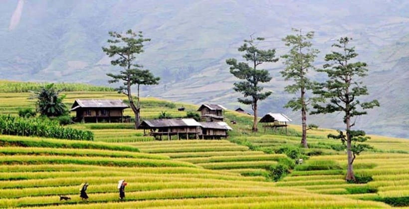 Sapa: Eco Adventure Terrace Fields and Local Villages Trek - Muong Hoa Valley, terraces, and muddy first miles