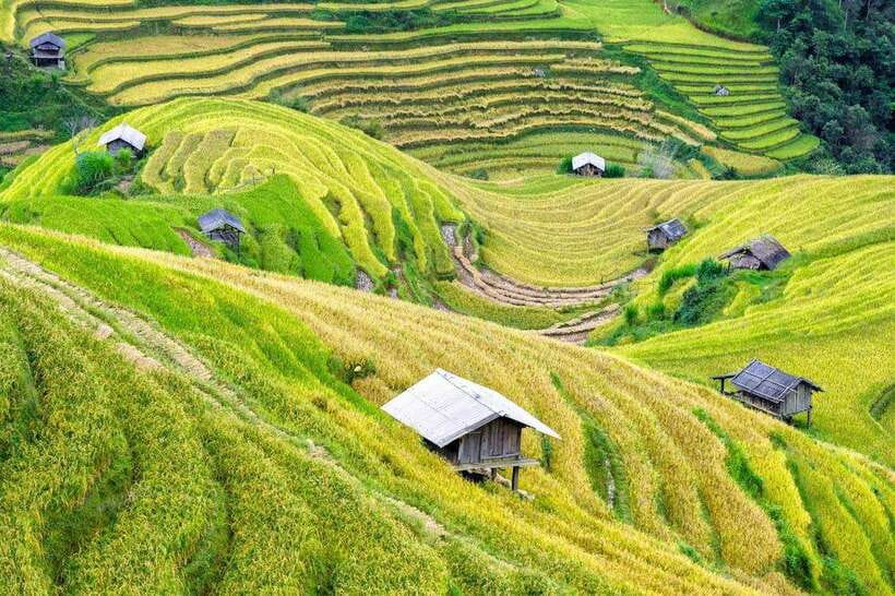 Sapa: Eco Adventure Terrace Fields and Local Villages Trek - Lao Chai Village and traditional clothing