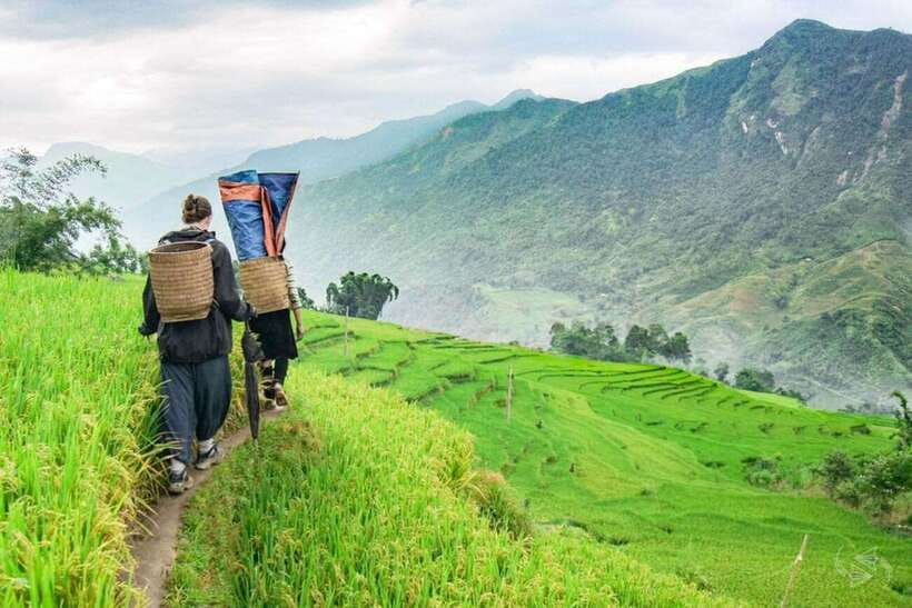 Sapa: Eco Adventure Terrace Fields and Local Villages Trek - What the $27 price really covers