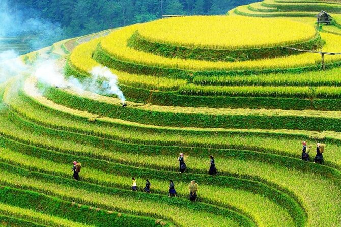 Sapa Muong Hoa Valley & Ta Van Eco Village Scenic Tour (No Trek) - Key points at a glance
