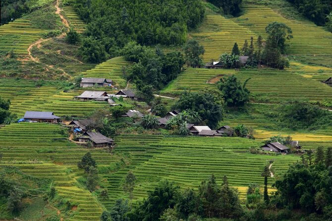 Sapa Muong Hoa Valley & Ta Van Eco Village Scenic Tour (No Trek) - Learning about Giay and H’Mong life
