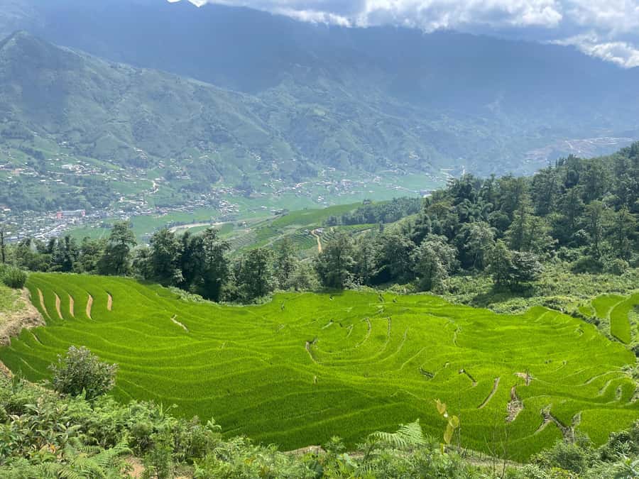 Sapa: Muong Hoa Valley View & Villages Trek with Local Guide - Muong Hoa Valley and its working terraces