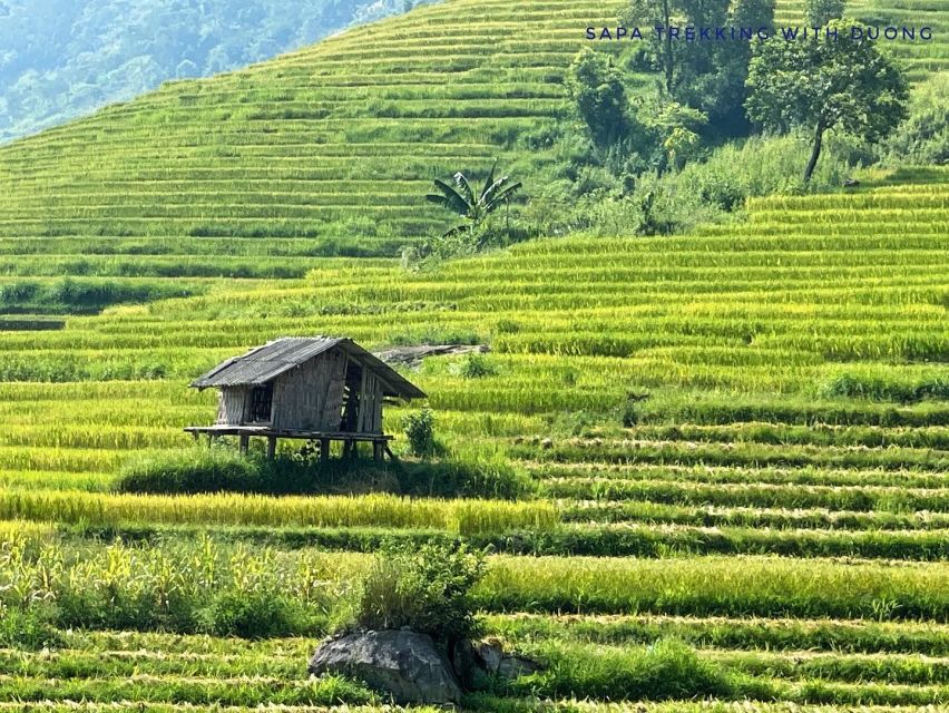 Sapa: Private Muong Hoa Valley and Homestay Trekking 2-Day - Key points at a glance