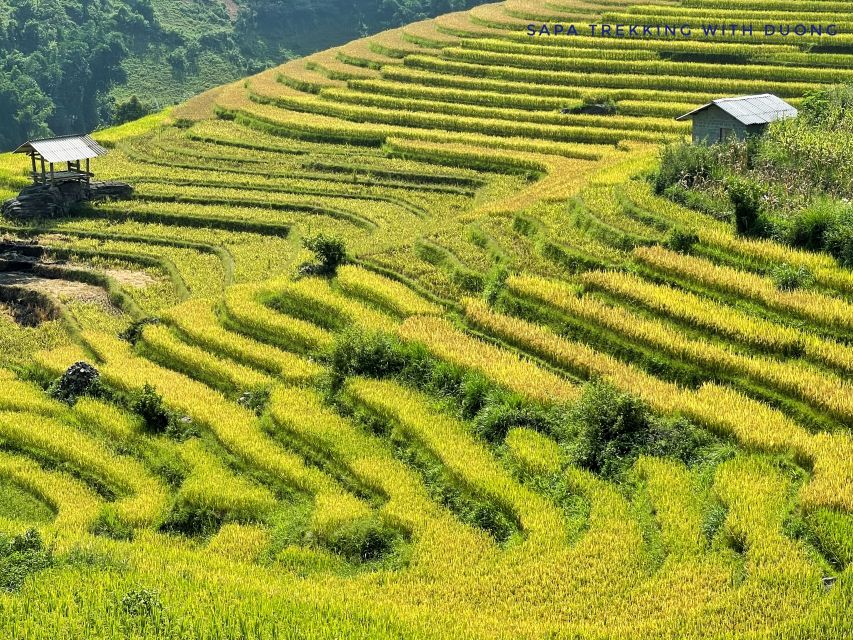 Sapa: Private Muong Hoa Valley and Homestay Trekking 2-Day - Ta Van at 4:30 PM: the Giay homestay night