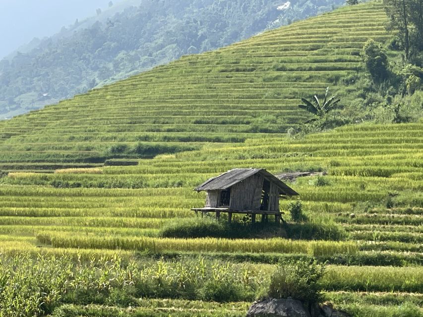 Sapa: Private Muong Hoa Valley and Homestay Trekking 2-Day - Day two: Ta Van, Giang Ta Chai, and Hau Thau