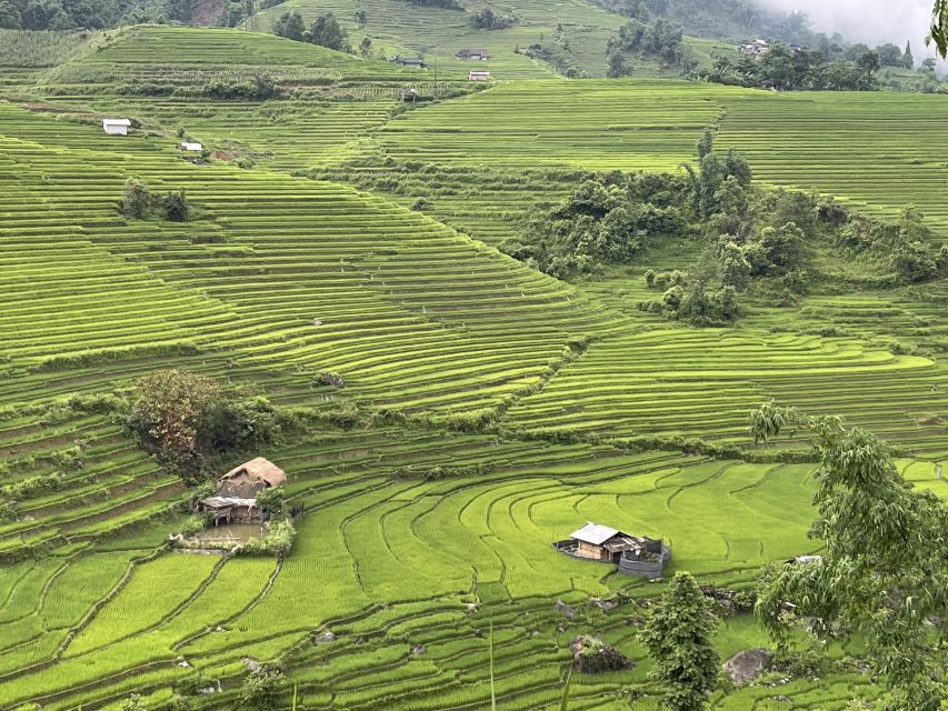Sapa: Private Muong Hoa Valley and Homestay Trekking 2-Day - Should you book it?