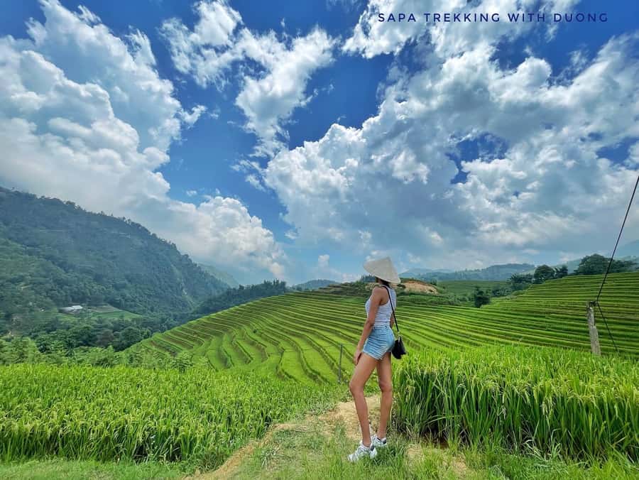 Sapa: Private The Most Beautiful Terraced Fields Trekking - Key points to know before you book