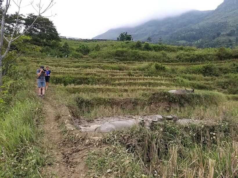 Sapa: Private trek to Muong Hoa Valley - Ta Van and the Dzay community