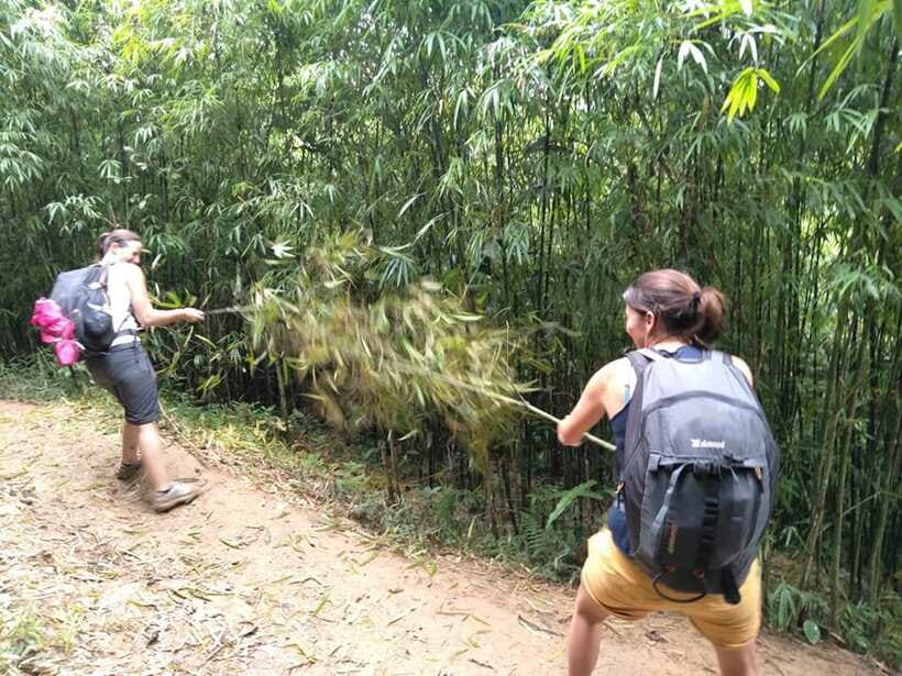 Sapa: Private trek to Muong Hoa Valley - What is included for $47?