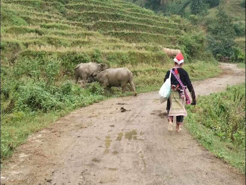 Sapa: Private trek to Muong Hoa Valley - Leaving Sapa on foot for the valley