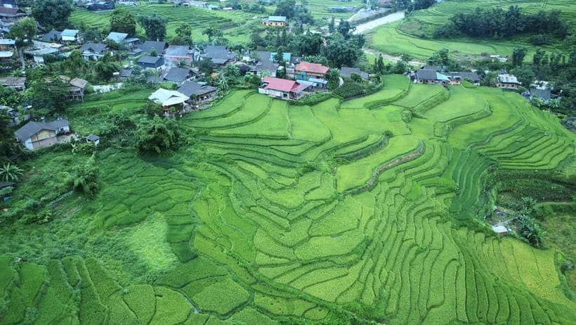 Sapa small groupe activities: 1 Day trek - Meet the locals - Why this Sapa trek works well in one day